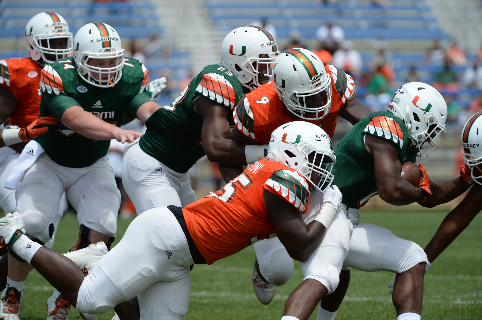 Ed Reed believes in Mark Richt but demands more of Miami players 